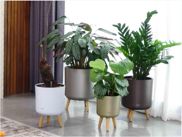 decorative self-watering planters