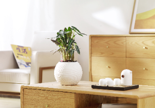 Mini Flowerpot on desk