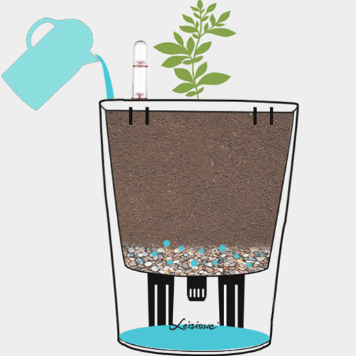 why choose self-watering flowerpot ?