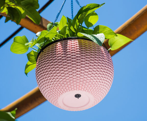 plastic hanging basket