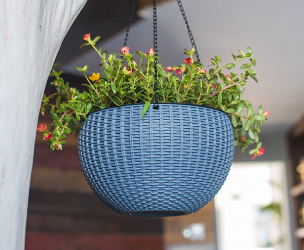 plastic hanging basket