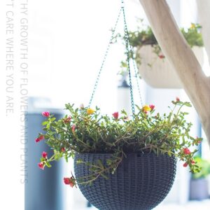 Hanging Flowerpot