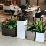 What is Leizisure Self-watering Planter