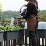 Leizisure Plastic Flower Tub for Veggies