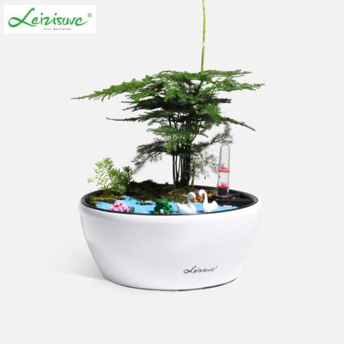 round desktop planter